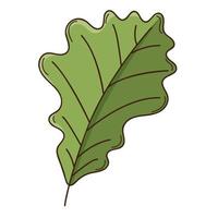 Green oak autumn leaf. Botanical, plant design element with outline. . Doodle, hand-drawn. Flat design. Color vector illustration. Isolated on a white background.