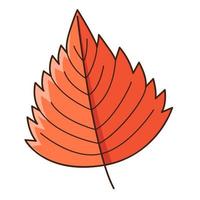 Red autumn leaf. Botanical, plant design element with outline. Doodle, hand-drawn. Flat design. Color vector illustration. Isolated on a white background.
