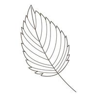 birch leaf. Botanical, plant design element with outline. Time of summer, autumn. Doodle, hand-drawn. Flat design. CBlack white olor vector illustration. Isolated on a white background.