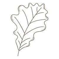 oak autumn leaf. Botanical, plant design element with outline. . Doodle, hand-drawn. Flat design. Black white vector illustration. Isolated on a white background.