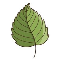 Green birch leaf. Botanical, plant design element with outline. Time of summer, autumn. Doodle, hand-drawn. Flat design. Color vector illustration. Isolated on a white background.