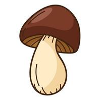 Forest mushroom with a brown cap, black birch. A symbol of the forest, autumn, and harvest. Design element with outline. Doodle, hand-drawn. Flat design. Color vector illustration. Isolated on white.