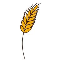 Yellow wheat, rye spikelet. A symbol of autumn, harvest. Design element with outline. Doodle, hand-drawn. Flat design. Color vector illustration. Isolated on a white background.