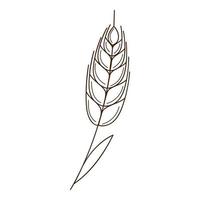 wheat, rye spikelet. A symbol of autumn, harvest. Design element with outline. Doodle, hand-drawn. Flat design. Black white vector illustration. Isolated on a white background.