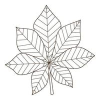 chestnut leaf. Autumn leaf. Botanical, plant design element with outline. Doodle, hand-drawn. Flat design. Black white vector illustration. Isolated on a white background.