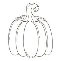 A whole pumpkin. A symbol of autumn, harvest. Design element with outline. Doodle, hand-drawn. vegetable, melon plant. Black white vector illustration. Isolated on a white background