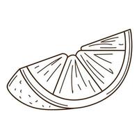 A slice of orange. Food design element with outline. Doodle, hand-drawn. Black white vector illustration. Isolated on a white background