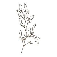 ramita abstracta con hojas. una brizna de hierba. otoño. botánico, elemento de diseño vegetal con contorno. garabato, dibujado a mano. diseño plano. ilustración vectorial en blanco y negro. aislado en blanco vector