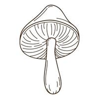 Forest mushroom with a cap, black birch. A symbol of the forest, autumn, and harvest. Design element with outline. Doodle, hand-drawn. Flat design. Black white vector illustration. Isolated on white.