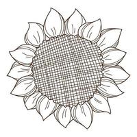 vista superior de girasol. girasol maduro. un símbolo de otoño, cosecha. elemento de diseño con contorno. garabato, dibujado a mano. ilustración vectorial en blanco y negro. Aislado en un fondo blanco vector