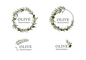 Logotype collection with olive ornaments vector