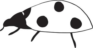 ladybug icon. hand drawn doodle style. , minimalism monochrome sketch insect vector