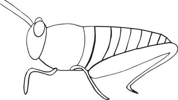 icono de langosta. estilo de garabato dibujado a mano. , minimalismo, saltamontes de insectos de bosquejo monocromo vector