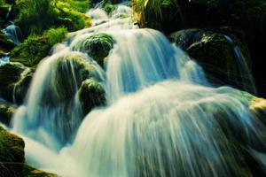 Waterfall in forest. Crystal clear water. photo