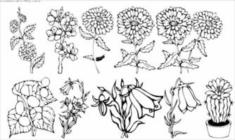 Flowers Black and White Vector