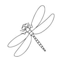 Insect dragonfly linear icon. Vector black and white illustration isolated on white background