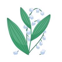 lirio de los valles, flor aislada de convallaria sprong, muguet. Ilustración de vector plano dibujado a mano botánico para paquete de diseño cosmético verde, tarjeta de felicitación