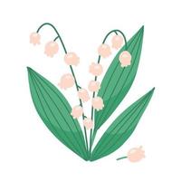 Lily of the Valley - isolated single flower. Flat hand drawn vector illustration isolated on white background.