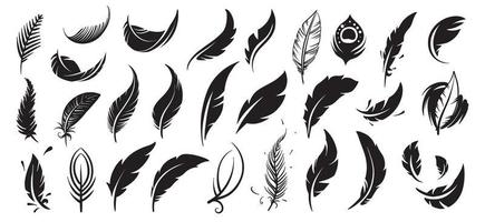 A set of drawn vector bird feathers