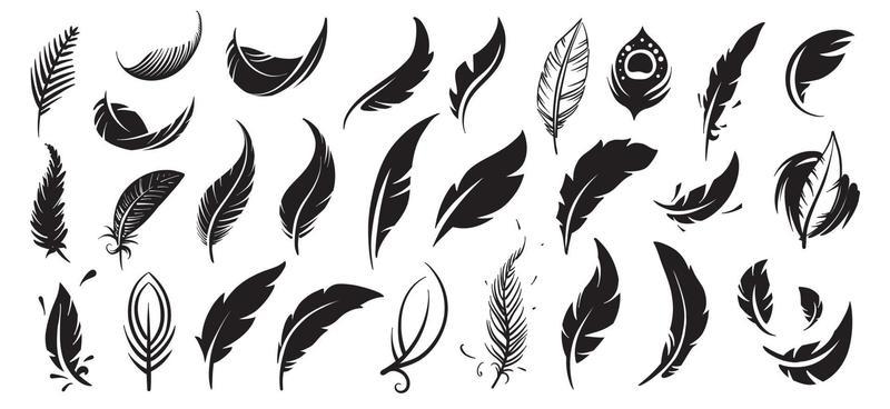 Feathers Feathers