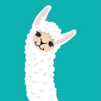 Cute lama alpaca head with face vector