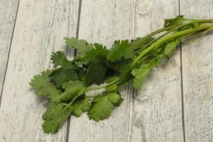 hojas frescas de cilantro verde maduro foto