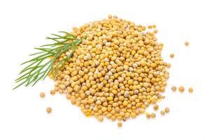 Mustard seeds heap photo