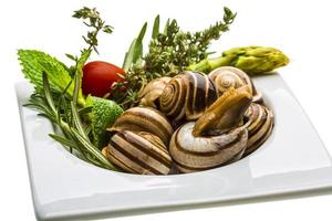 Escargot with asparagus, rosemary, thymus and tomato photo