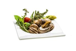 Escargot with asparagus, rosemary, thymus and tomato photo