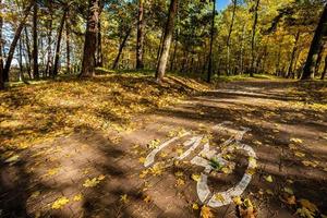 señal de tráfico en bicicleta en un parque en otoño foto