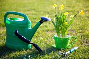 Gardening tools and flowers photo