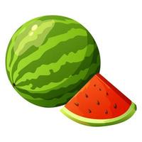 Juicy watermelon. Summer fruit. Sliced piece of watermelon. vector