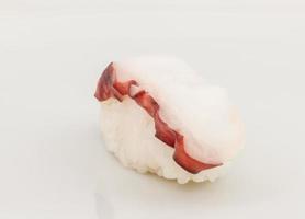 Japanese sushi with meat octopus on a white background photo