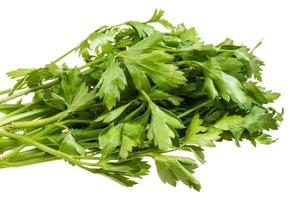 a bunch of parsley on a white background photo