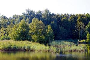 vista del hermoso río y bosque foto