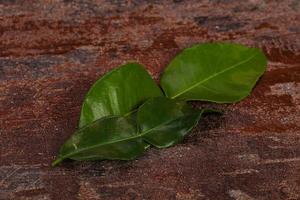 Kafir lime leaves - addition for Asian cuisine photo