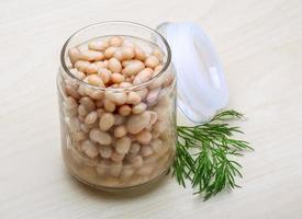 White canned beans photo