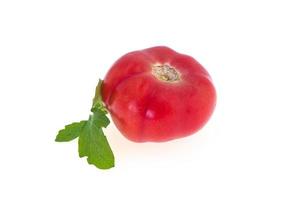 Tomato isolated on white background photo