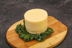 Yellow round dairy soft cheese photo