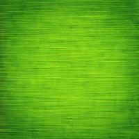 Elegant green abstract background, pattern, texture.