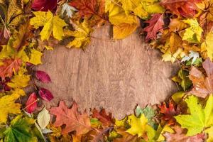 Frame made of fall leaves on wood. Autumn background photo