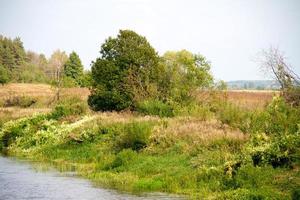 vista del hermoso río y bosque foto