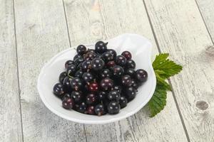 Fresh ripe sweet black currant photo