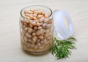 White canned beans photo