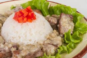 Rice and pork japanese style photo