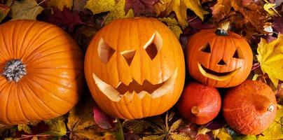 Halloween pumpkins, carved jack-o-lantern in fall leaves