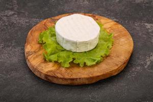 Delicous Brie round soft cheese photo