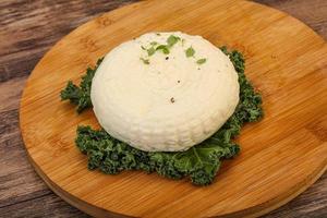 Caucasian suluguni round cheese piece photo