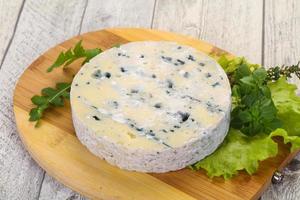 Round blue cheese photo