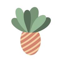 Indoor plant in striped pot isolated vector illustration